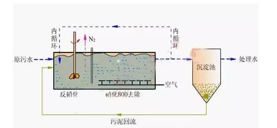 高濃度，高氨氮