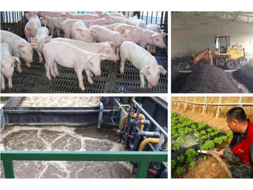 養(yǎng)殖場一年光處理污水的費用就需要40萬？？大可不必！